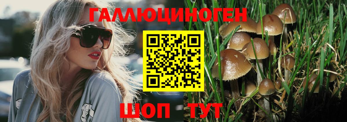 Псилоцибиновые грибы MAGIC MUSHROOMS Валуйки