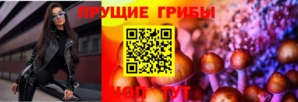 Валуйки  Псилоцибиновые грибы Cubensis  Вход с VPN  что такое наркотик  Псилоцибиновые грибы прущие грибы 